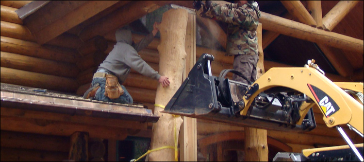 Log Home Log Replacement  Raphine, Virginia